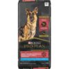 Purina Pro Plan
				34-35 lb Adult Large Breed Sensitive Skin & Stomach Salmon & Rice Formula
