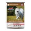 Blain's Farm & Fleet
				30 lb Sensitive Skin and Stomach Salmon & Brown Rice Adult Dog Food