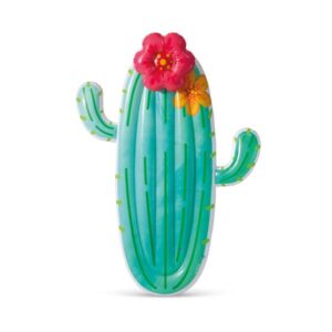 Intex
				71" Cactus Float