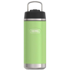 Thermos
				Thermos 18 oz ICON Water Bottle with Straw lid