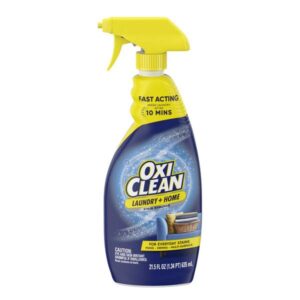 OXI CLEAN
				21.5 oz Liquid Stain Remover Spray